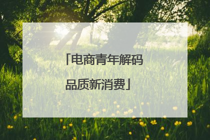 电商青年解码品质新消费