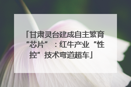 甘肃灵台建成自主繁育“芯片”：红牛产业“性控”技术弯道超车