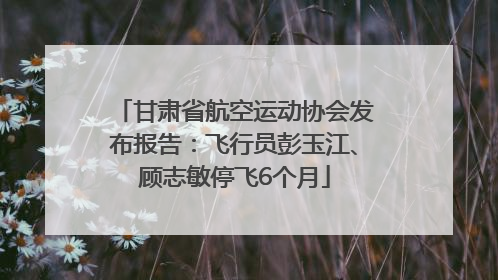 甘肃省航空运动协会发布报告：飞行员彭玉江、顾志敏停飞6个月