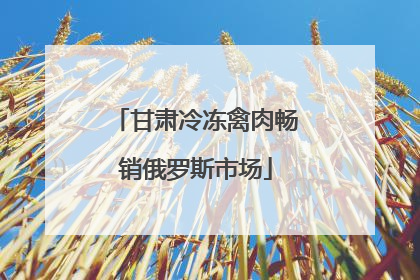 甘肃冷冻禽肉畅销俄罗斯市场