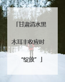 甘肃清水黑木耳丰收应时“绽放”