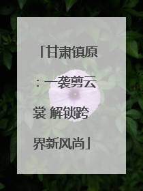 甘肃镇原：一袭剪云裳 解锁跨界新风尚