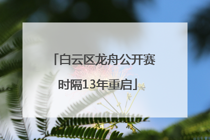 白云区龙舟公开赛时隔13年重启