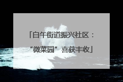 白午街道振兴社区：“微菜园”喜获丰收