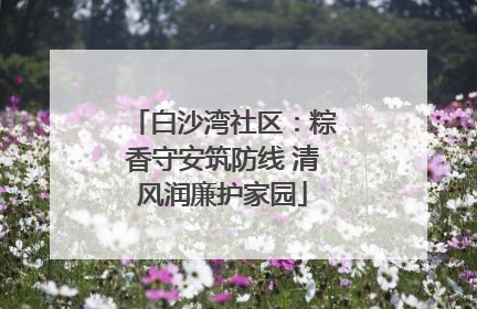 白沙湾社区:粽香守安筑防线 清风润廉护家园