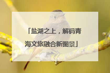 盐湖之上，解码青海文旅融合新图景