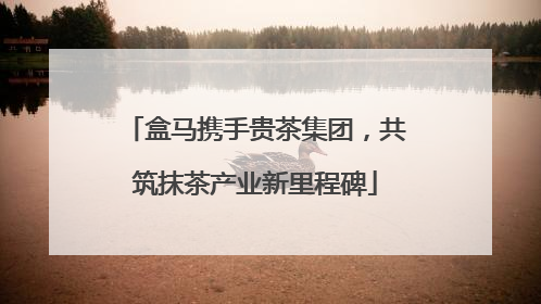 盒马携手贵茶集团，共筑抹茶产业新里程碑
