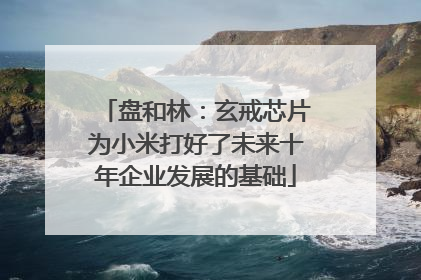 盘和林：玄戒芯片为小米打好了未来十年企业发展的基础