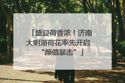 盛夏荷香浓！济南大明湖荷花率先开启“颜值暴击”