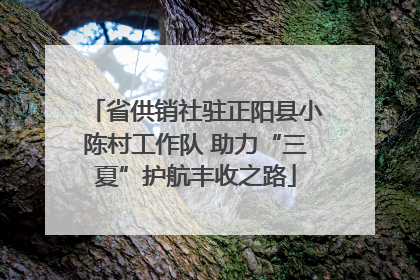 省供销社驻正阳县小陈村工作队 助力“三夏”护航丰收之路