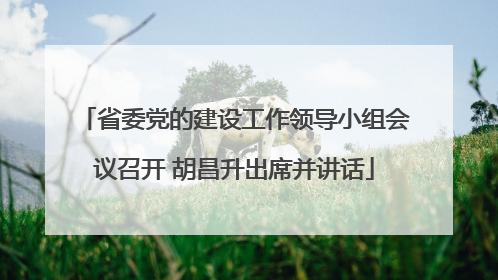 省委党的建设工作领导小组会议召开 胡昌升出席并讲话