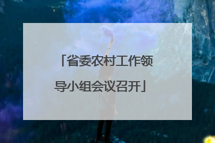 省委农村工作领导小组会议召开