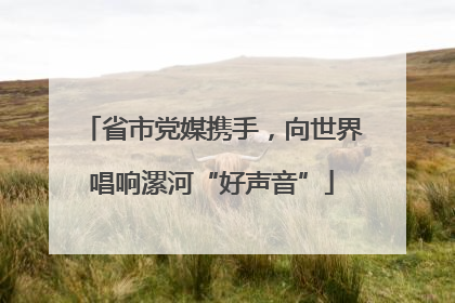 省市党媒携手，向世界唱响漯河“好声音”