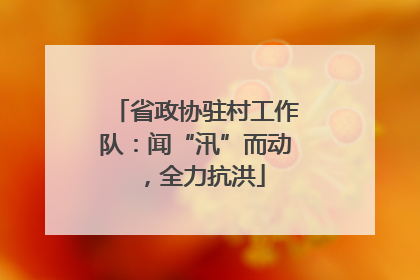 省政协驻村工作队：闻“汛”而动，全力抗洪