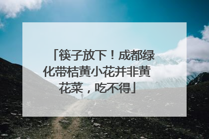 筷子放下！成都绿化带桔黄小花并非黄花菜，吃不得