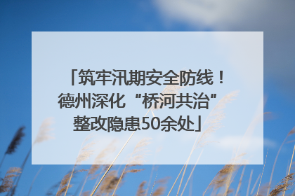筑牢汛期安全防线！德州深化“桥河共治”整改隐患50余处