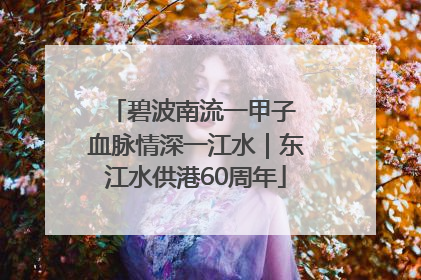 碧波南流一甲子 血脉情深一江水｜东江水供港60周年