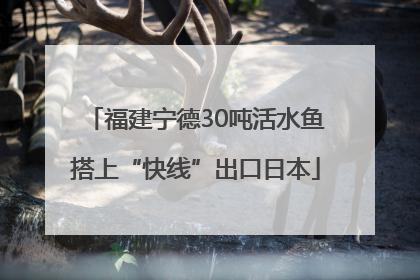 福建宁德30吨活水鱼搭上“快线”出口日本