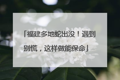 福建多地蛇出没！遇到别慌，这样做能保命