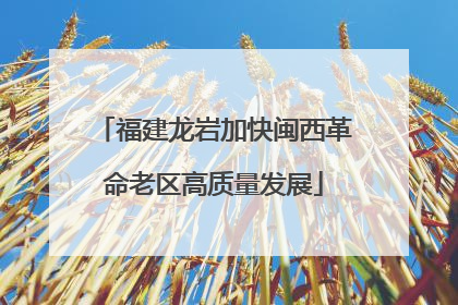 福建龙岩加快闽西革命老区高质量发展