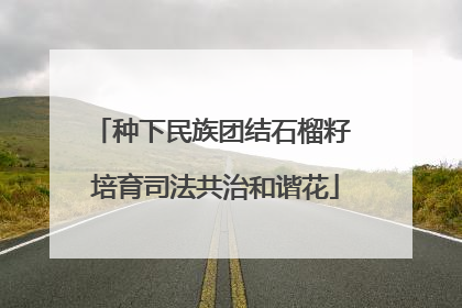 种下民族团结石榴籽 培育司法共治和谐花
