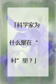 科学家为什么聚在“村”里？