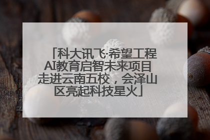 科大讯飞·希望工程AI教育启智未来项目走进云南五校，会泽山区亮起科技星火