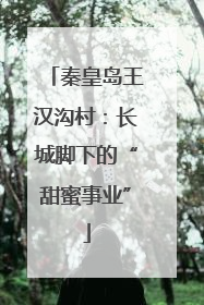 秦皇岛王汉沟村：长城脚下的“甜蜜事业”