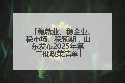 稳就业、稳企业、稳市场、稳预期，山东发布2025年第二批政策清单