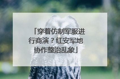 穿着仿制军服进行商演？红安军地协作整治乱象