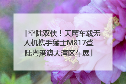空陆双侠！天鹰车载无人机携手猛士M817登陆粤港澳大湾区车展