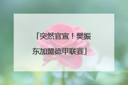 突然官宣！樊振东加盟德甲联赛