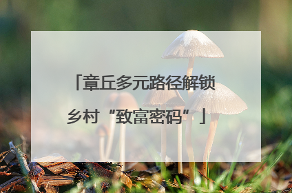 章丘多元路径解锁乡村“致富密码”