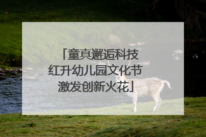 童真邂逅科技 红升幼儿园文化节激发创新火花