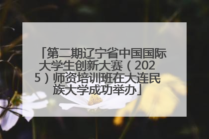 第二期辽宁省中国国际大学生创新大赛（2025）师资培训班在大连民族大学成功举办