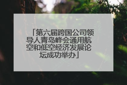 第六届跨国公司领导人青岛峰会通用航空和低空经济发展论坛成功举办