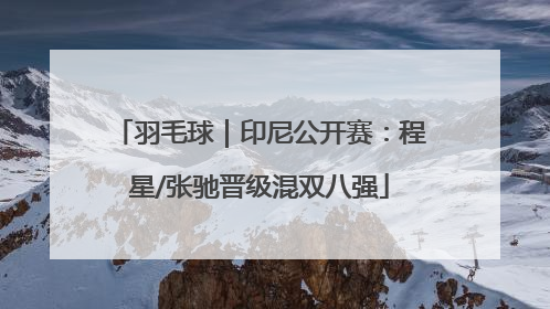 羽毛球｜印尼公开赛：程星/张驰晋级混双八强