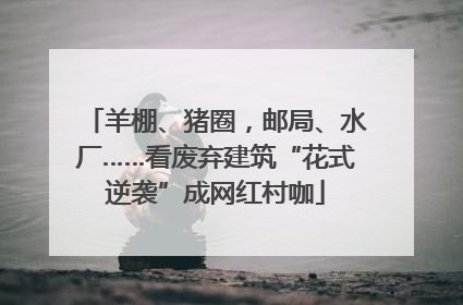 羊棚、猪圈，邮局、水厂……看废弃建筑“花式逆袭”成网红村咖