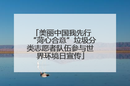 美丽中国我先行 “菏心合意”垃圾分类志愿者队伍参与世界环境日宣传