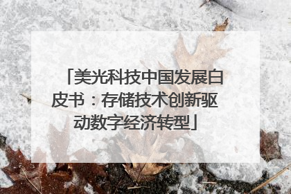 美光科技中国发展白皮书：存储技术创新驱动数字经济转型