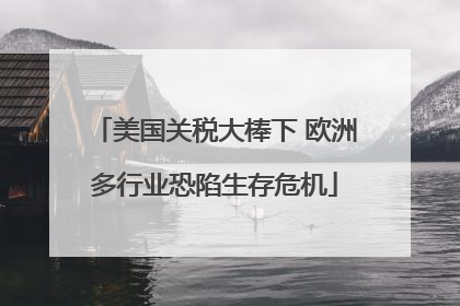 美国关税大棒下 欧洲多行业恐陷生存危机