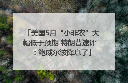 美国5月“小非农”大幅低于预期 特朗普速评：鲍威尔该降息了