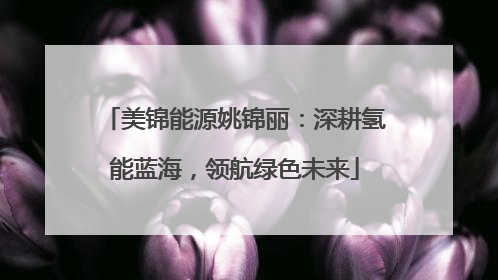 美锦能源姚锦丽：深耕氢能蓝海，领航绿色未来