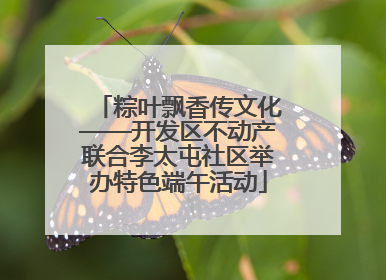 粽叶飘香传文化——开发区不动产联合李太屯社区举办特色端午活动