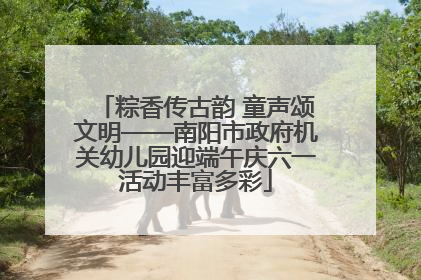 粽香传古韵 童声颂文明——南阳市政府机关幼儿园迎端午庆六一活动丰富多彩