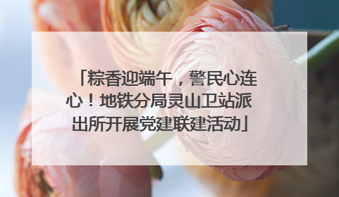 粽香迎端午，警民心连心！地铁分局灵山卫站派出所开展党建联建活动