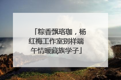 粽香飘珞珈，杨红梅工作室别样端午情暖藏族学子