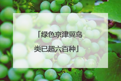 绿色京津冀鸟类已超六百种