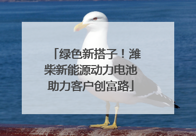 绿色新搭子！潍柴新能源动力电池助力客户创富路