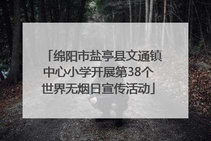 绵阳市盐亭县文通镇中心小学开展第38个世界无烟日宣传活动
